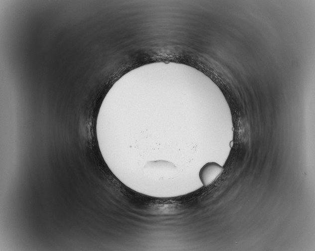 X0000096210514200802151505