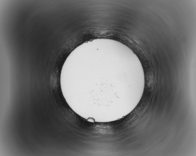 X0000096210515200802151505