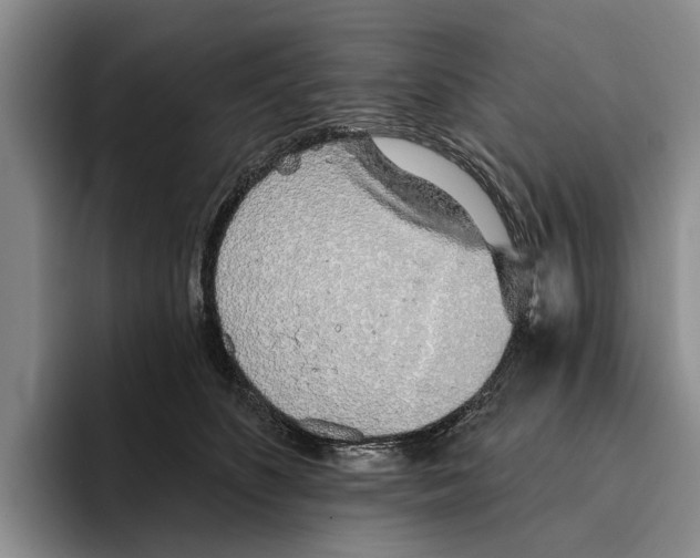 X0000096210516200802151505