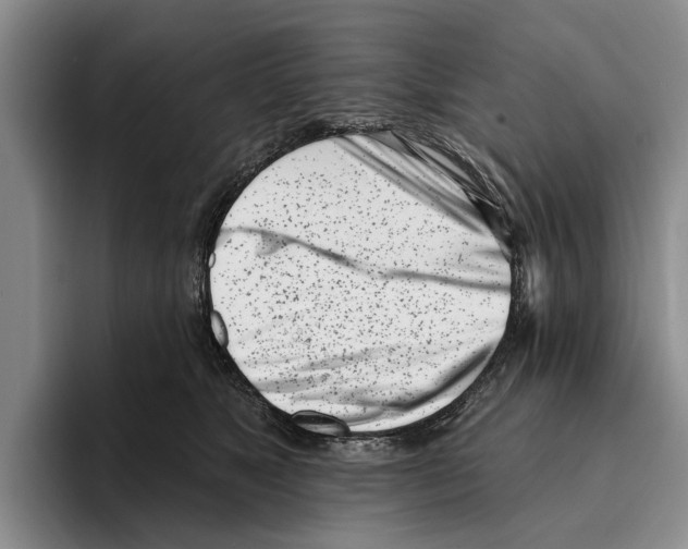 X0000096210517200802151504