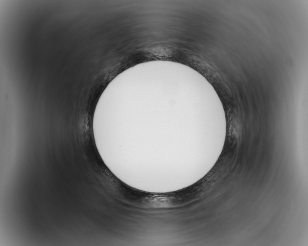 X0000096210518200802151504