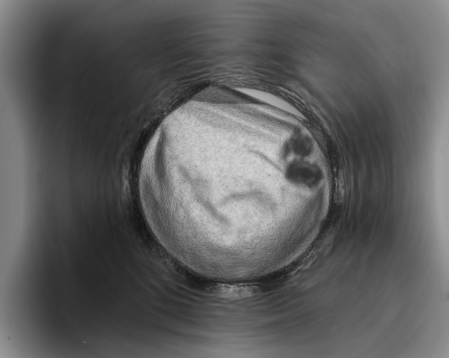 X0000096210520200802151504