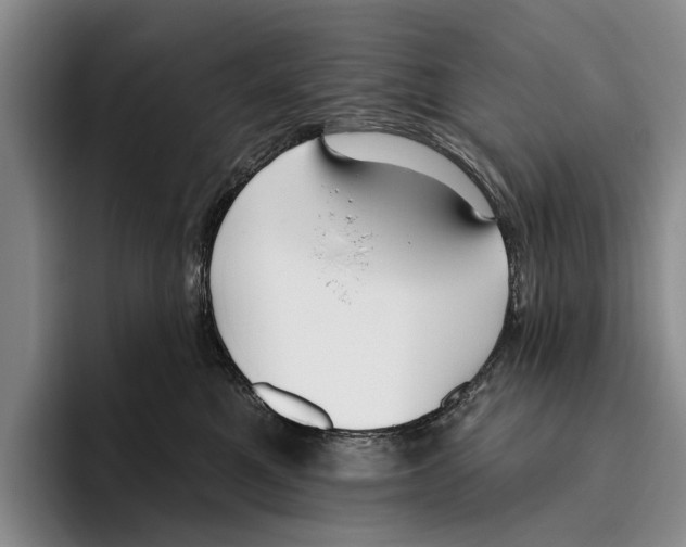 X0000096210521200802151504