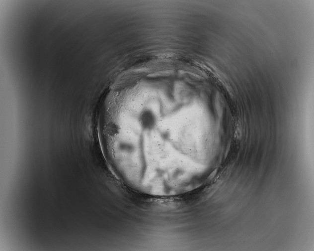 X0000096210524200802151504