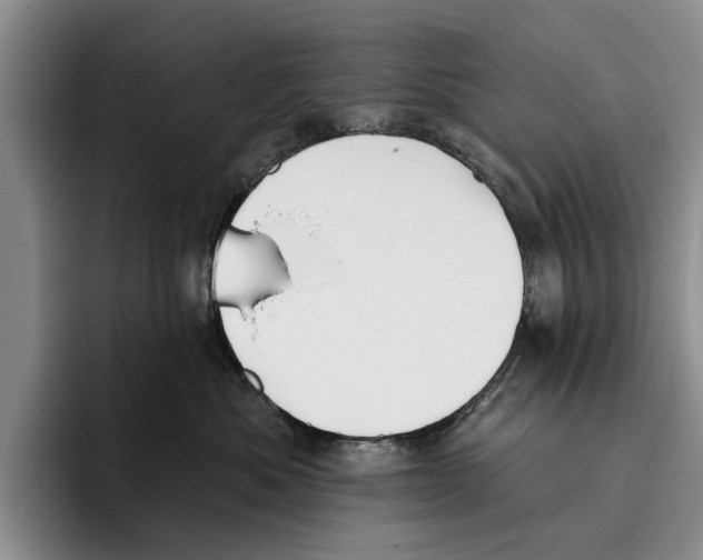X0000096210525200802151504