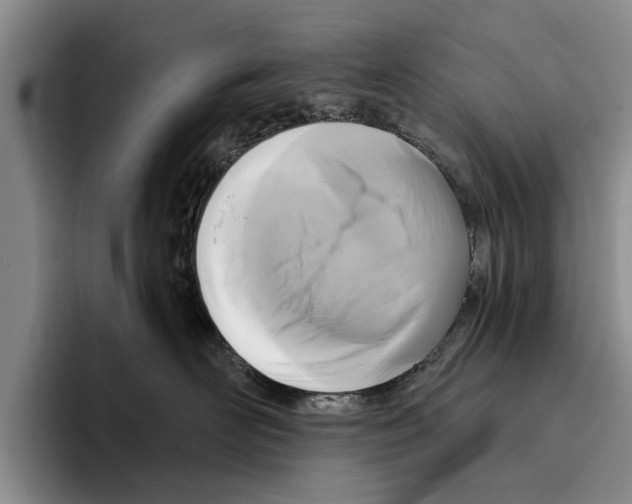 X0000096210526200802151504
