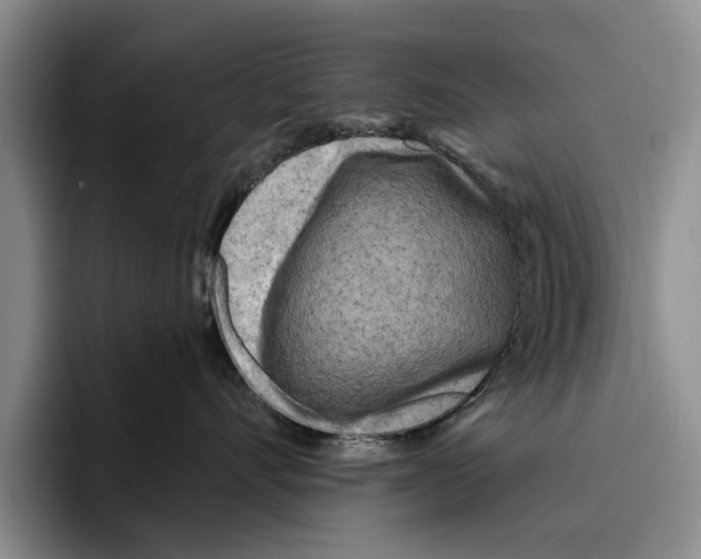 X0000096210528200802151504