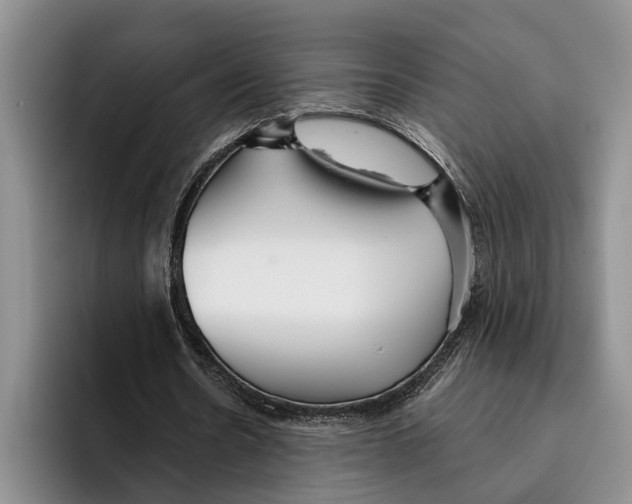X0000096210530200802151504