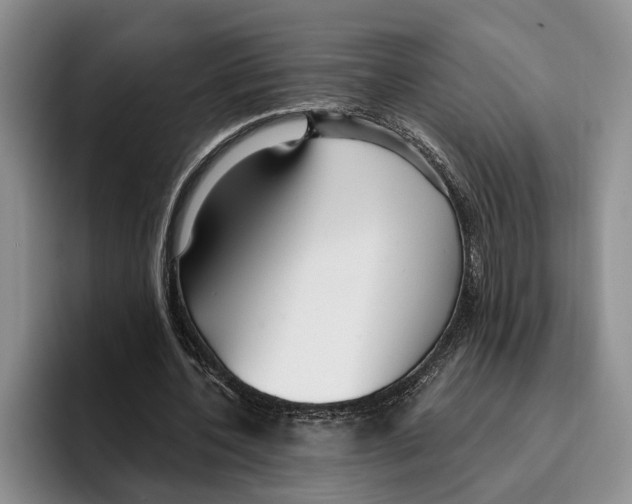 X0000096210532200802151504