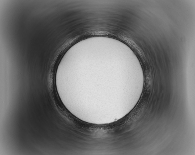 X0000096210533200802151504
