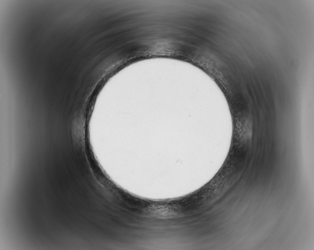 X0000096210534200802151504