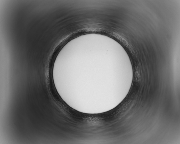 X0000096210535200802151504