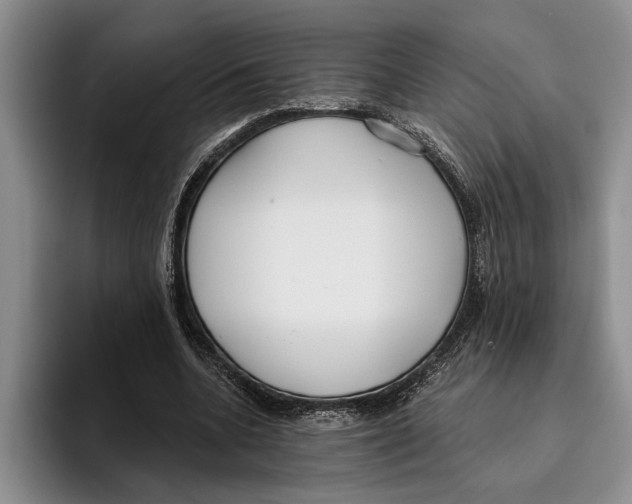 X0000096210536200802151504