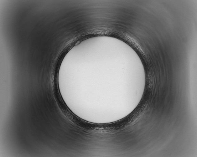 X0000096210538200802151504
