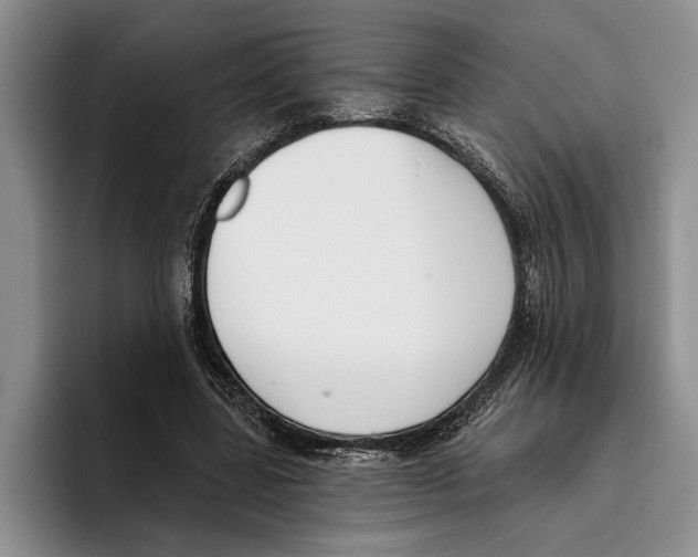 X0000096210539200802151504