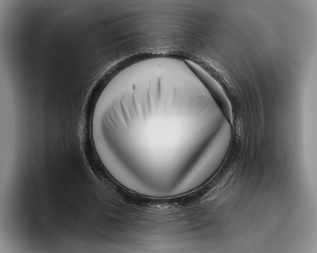 X0000096210540200802151504