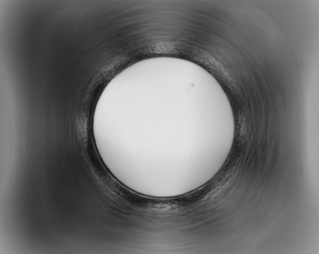 X0000096210542200802151504