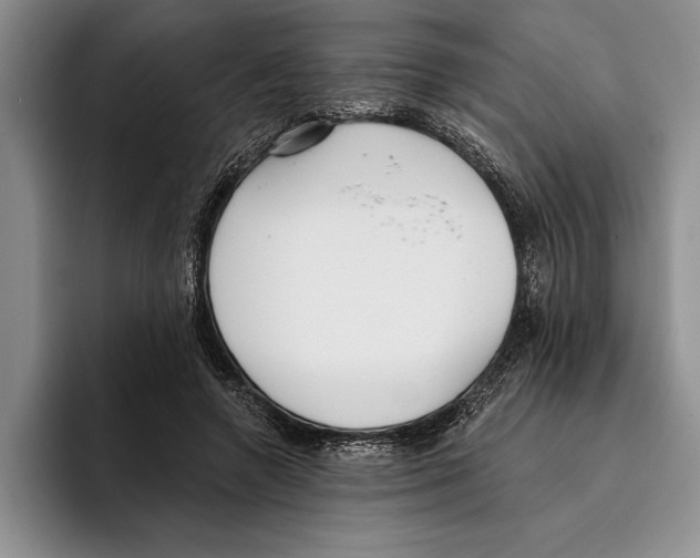 X0000096210546200802151504