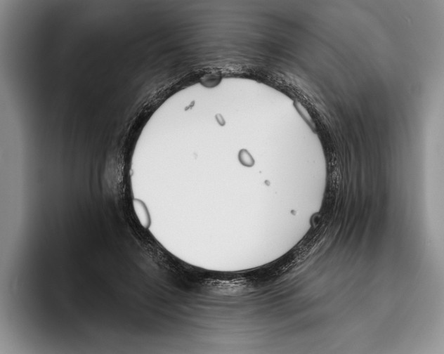 X0000096210548200802151504