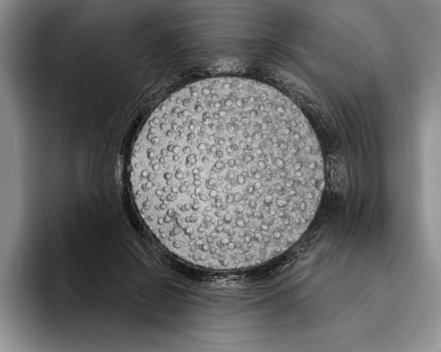 X0000096210550200802151504