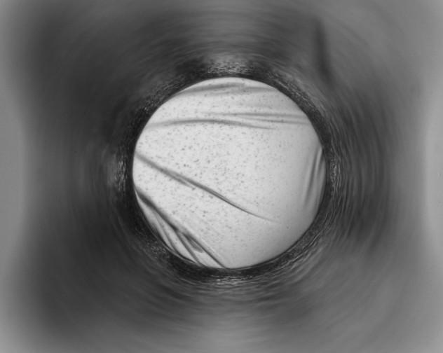 X0000096210551200802151504