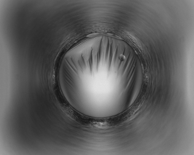 X0000096210552200802151504