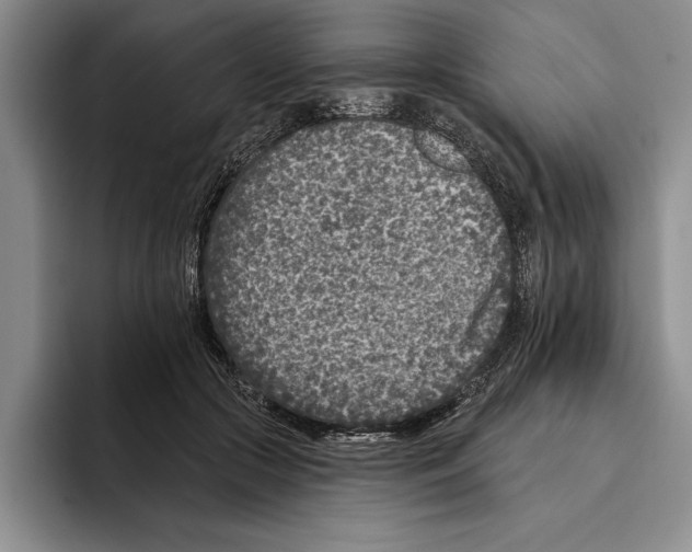 X0000096210553200802151504