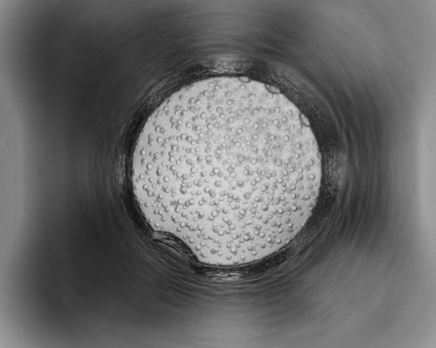 X0000096210554200802151504