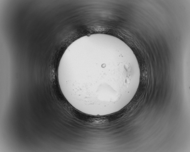X0000096210555200802151504
