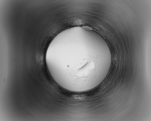 X0000096210556200802151504
