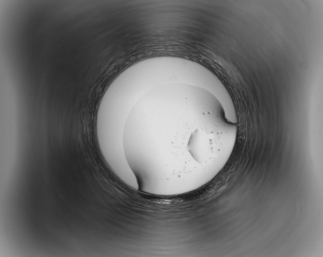 X0000096210558200802151504
