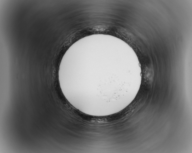 X0000096210559200802151504