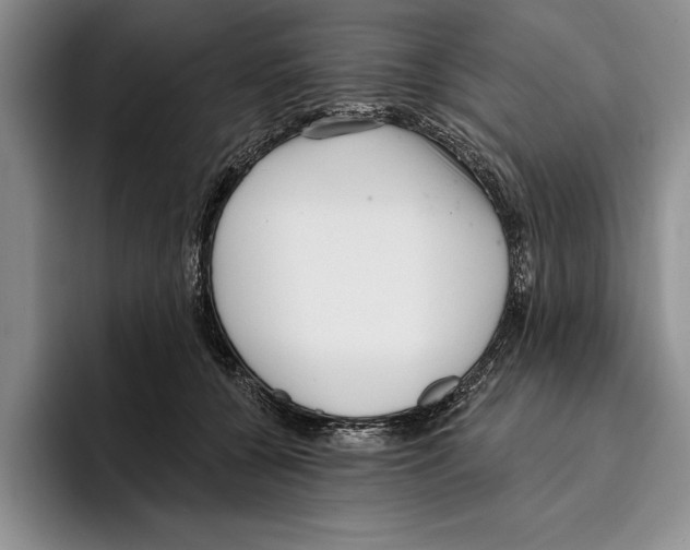 X0000096210560200802151504