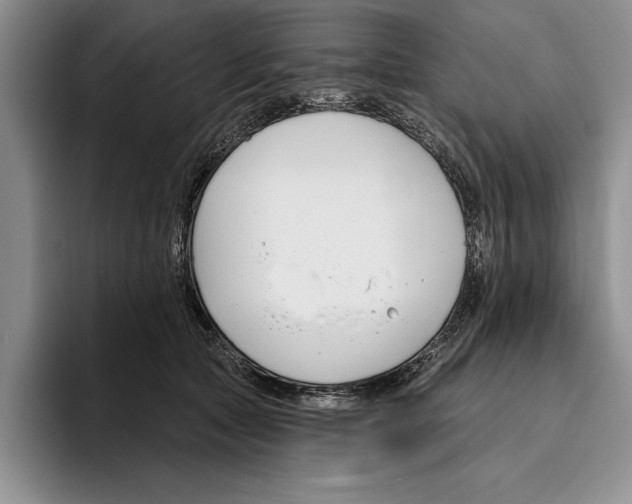 X0000096210561200802151504