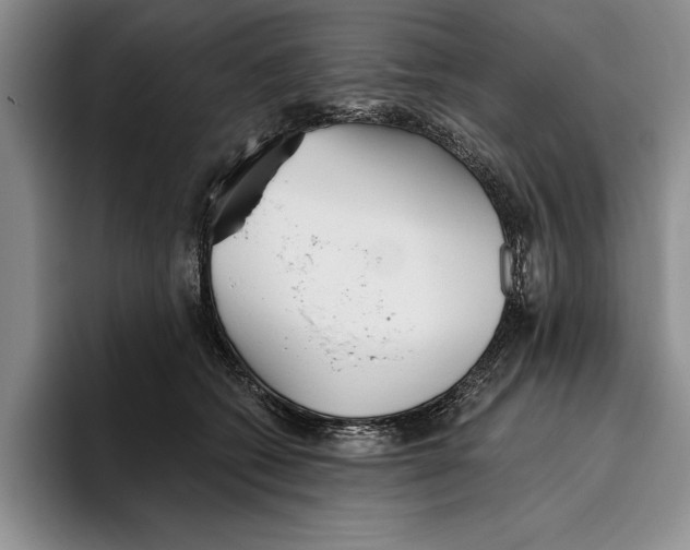 X0000096210562200802151504