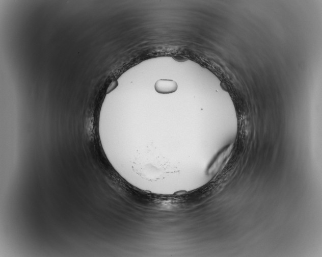 X0000096210564200802151504