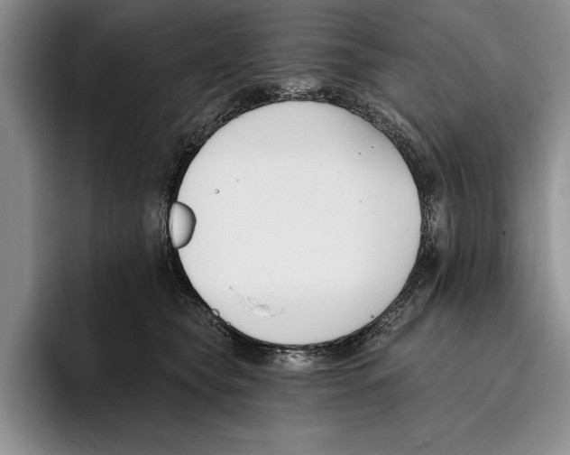 X0000096210565200802151504