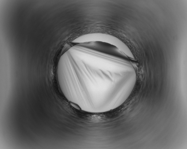 X0000096210566200802151504
