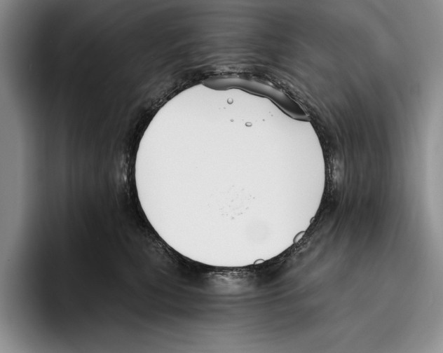 X0000096210567200802151504
