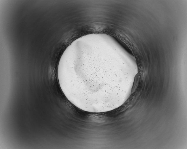 X0000096210568200802151504