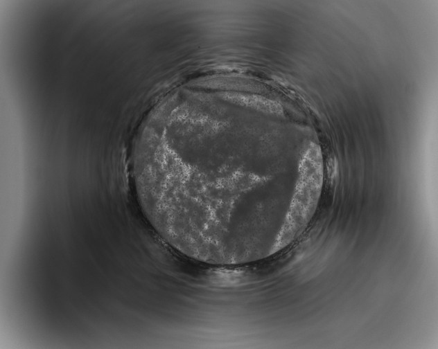 X0000096210570200802151504