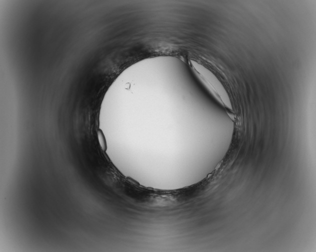 X0000096210572200802151504