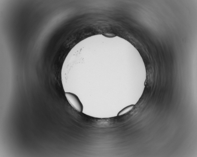X0000096210574200802151504