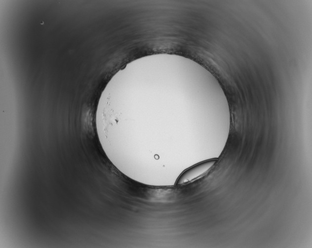 X0000096210575200802151504