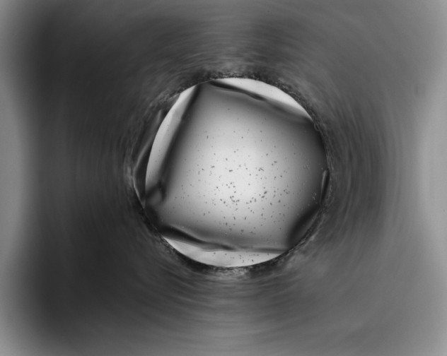 X0000096210576200802151504