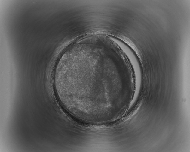 X0000096210577200802151504