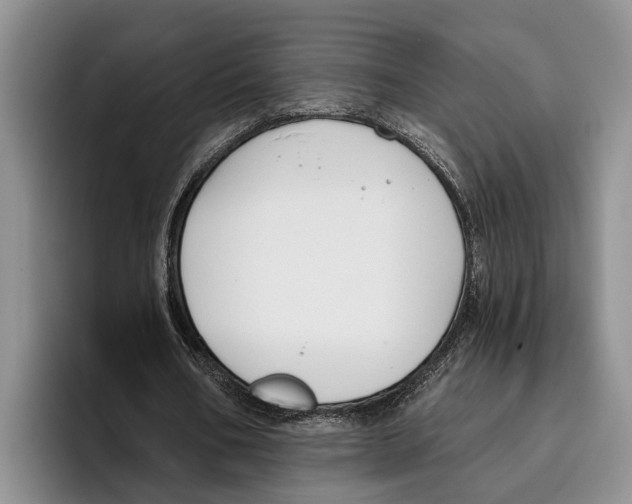 X0000096210578200802151504