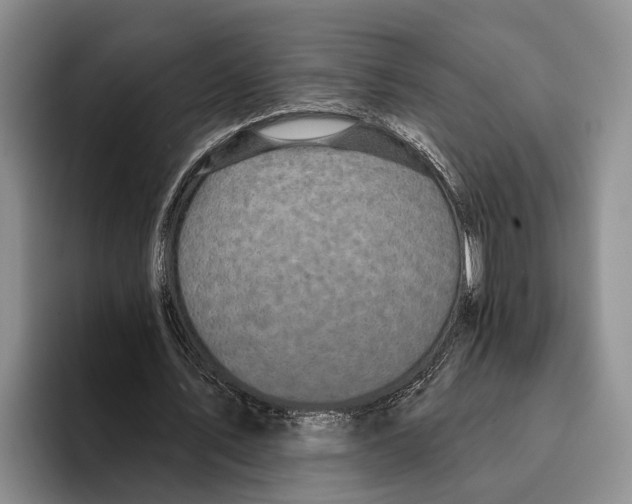 X0000096210579200802151504
