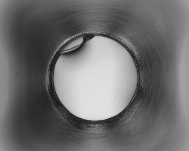 X0000096210580200802151504