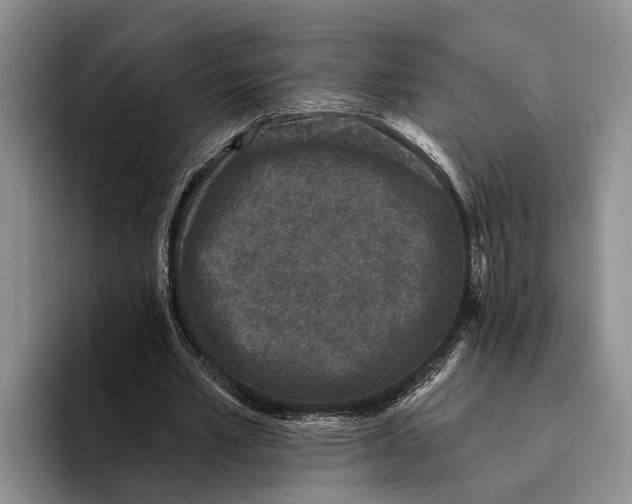 X0000096210581200802151504